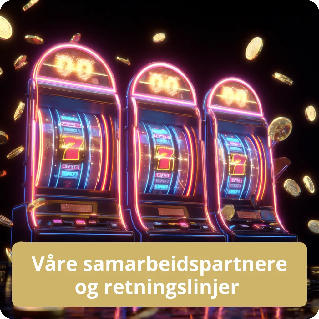 Våre samarbeidspartnere og retningslinjer 