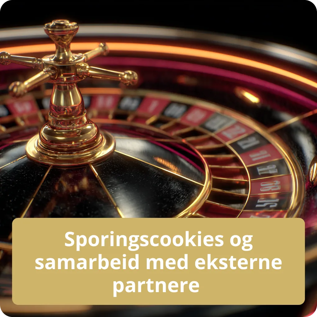 Sporingscookies og samarbeid med eksterne partnere 