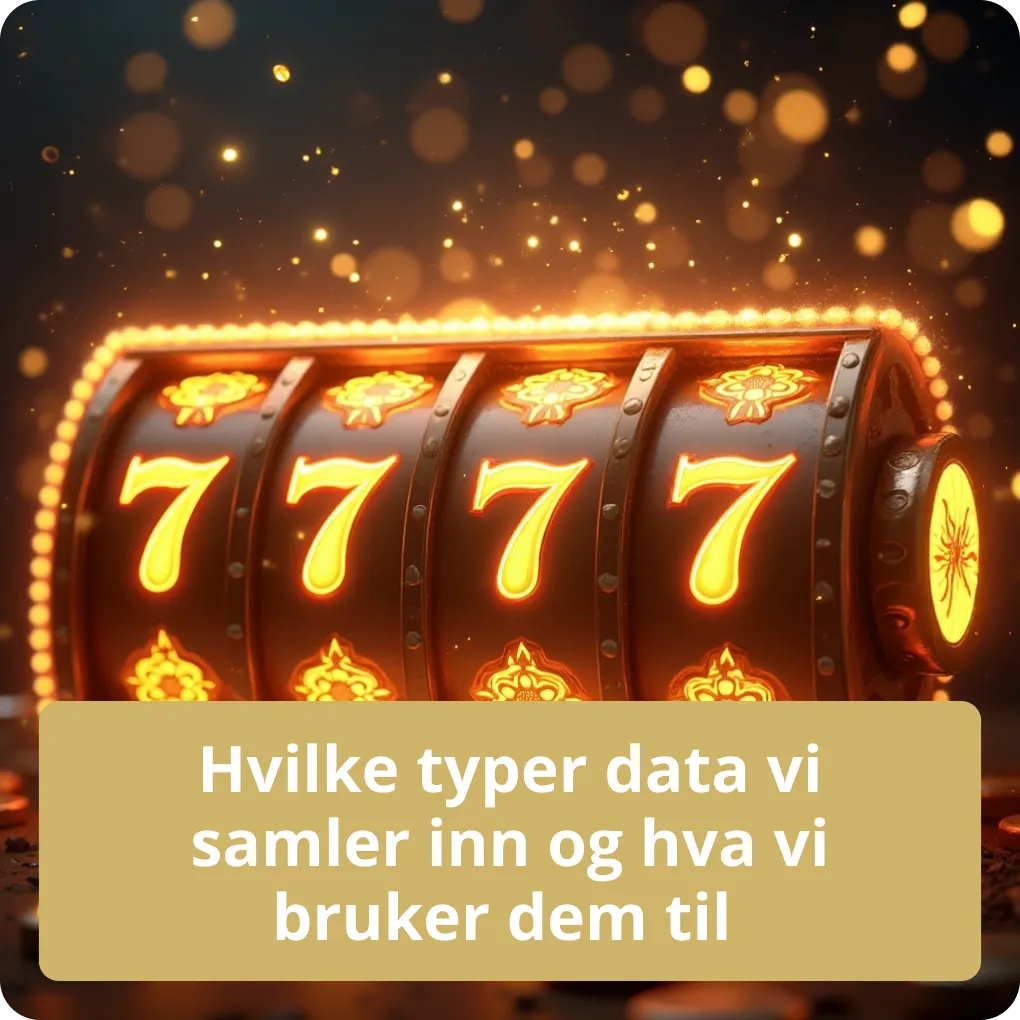 Hvilke typer data vi samler inn og hva vi bruker dem til   