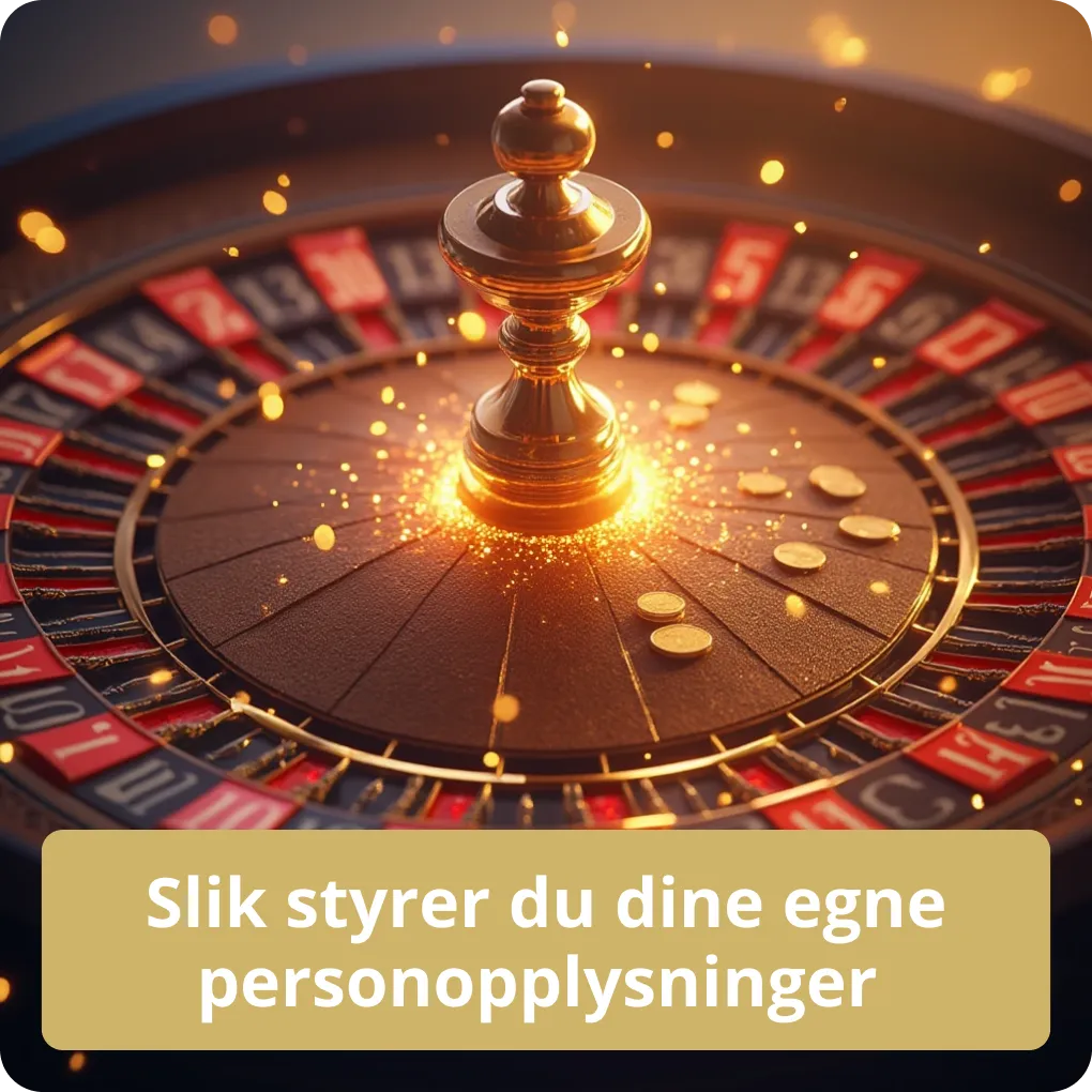 Slik styrer du dine egne personopplysninger