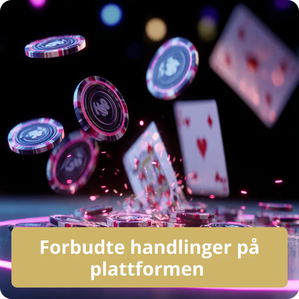 Forbudte handlinger på plattformen 