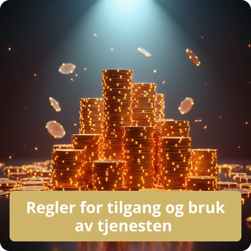 Regler for tilgang og bruk av tjenesten